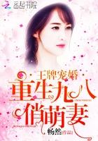 王牌军婚 重生九八俏萌妻