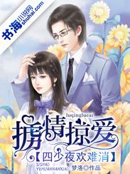 掳情掠爱四少夜欢难消 梦洛 掳情掠爱四少夜欢难消 梦洛