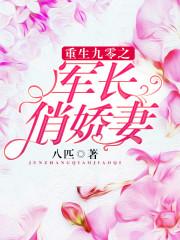 重生九零军长之俏军妻