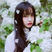 为你打开一扇窗句子 为你打开一扇窗句子