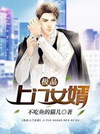 极品女婿 极品女婿